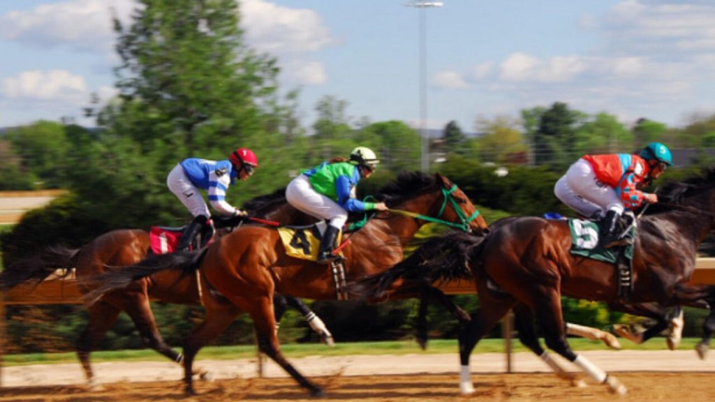 Furia e potenza, velocità cavallo al galoppo